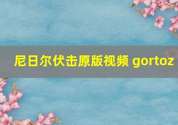 尼日尔伏击原版视频 gortoz